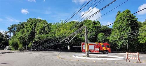 Três pessoas são resgatadas após árvore cair sobre carro e derrubar poste de energia em Gruta de Lourdes