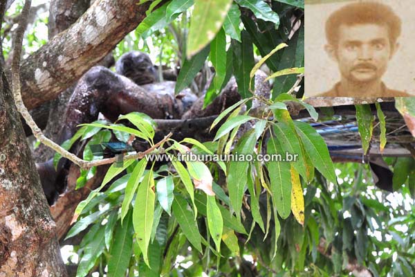 Inusitado: Corpo de pedreiro é achado em estado de decomposição preso entre os galhos de uma mangueira na zona rural de União dos Palmares