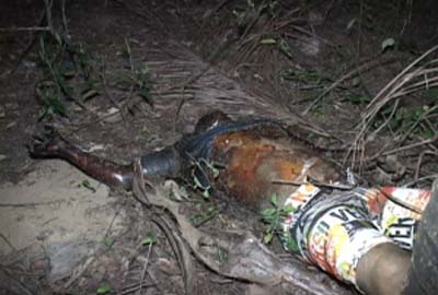 Traficante que atirou em PM é morto 