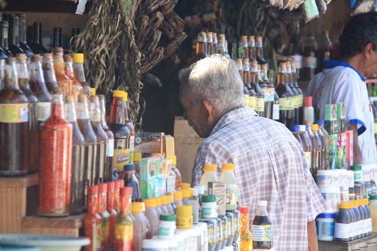 Raizeiros mantêm cultura da medicina popular na capital