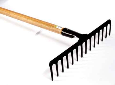 Irmão golpeia a irmã com golpe de rastelo