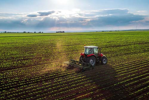 Refis Rural: Prazo para adesão se encerra na segunda dia 30