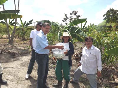Assentamentos de Messias e Murici podem cultivar peixes