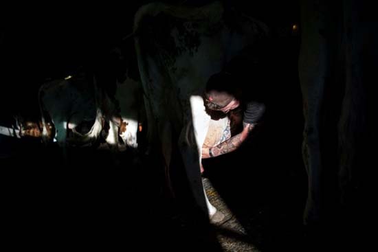 Presos são preparados na Suécia para sua reinserção social