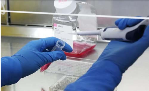 Laboratório americano Sorrento afirma ter remédio 100% eficaz contra a Covid-19