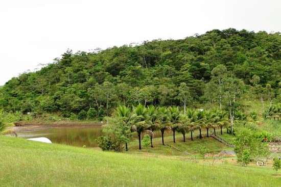 São José da Laje, a Princesa das Fronteiras, e suas atrações