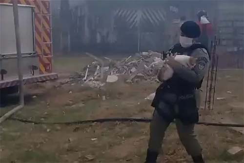 Idosa e mais de 20 animais são resgatados em meio a um incêndio em Maceió