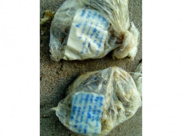 Banhista encontra restos cirúrgicos flutuando na praia de Ponta Verde