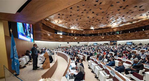 OMS quer tratado internacional para evitar que 'devastação' causada pela Covid se repita