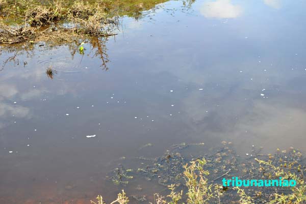 SAAE explica a coloração da água distribuida as residencias em União desde a ultima quarta feira