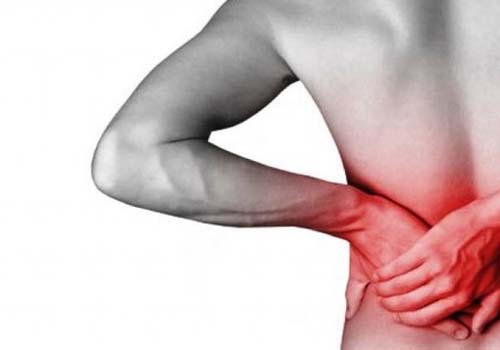 14 de Março: Dia Mundial do Rim - Saiba como cuidar e prevenir problemas renais