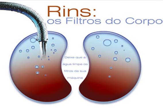 Mobilização marca dia mundial dos rins nesta quarta