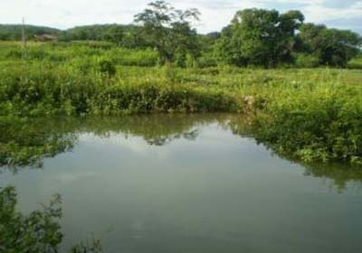 Embriagado, homem tenta salvar criança e morre afogado em rio