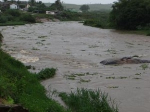 Corpo de homem é encontrado em estado de decomposição em Rio Largo