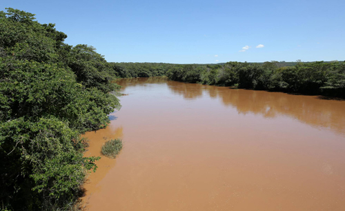 Resíduos de Brumadinho já matam os peixes do rio São Francisco