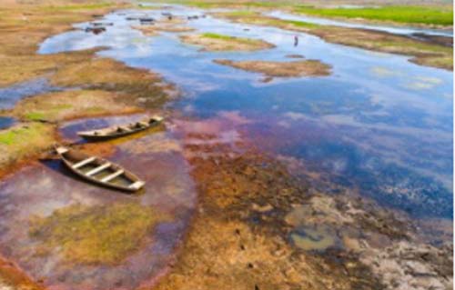 Redução de vazão no Rio São Francisco prejudica ecossistema e economia local