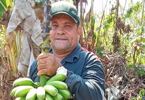 Líder camponês é morto com tiro na cabeça na mesma cidade onde Dorothy Stang foi assassinada