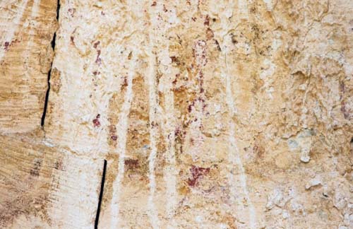 Desenho de rosto de Jesus é revelado em igreja de Israel