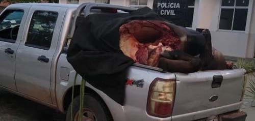 Suspeitos de roubo de gado são presos no interior da BA
