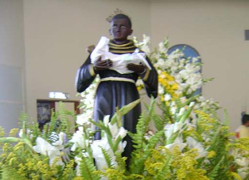 Moradores de Branquinha procuram imagem de santo perdida
