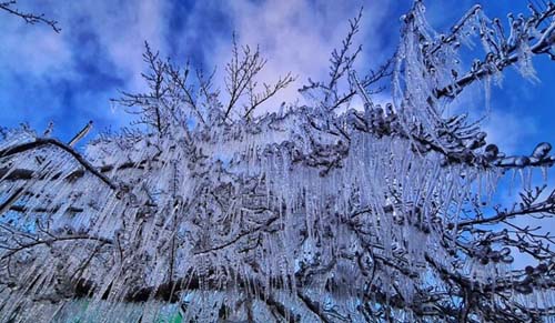 Frio no Sul e Sudeste do Brasil segue no fim de semana, mas trégua começa segunda; veja previsão para capitais