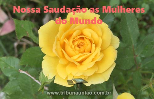 8 de março: Dia Internacional da Mulher - Família Agência Tribuna Saúda as Mulheres do Mundo