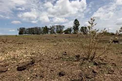 Duas cidades do Sertão alagoano têm situação de emergência pela estiagem reconhecida pelo MIDR 