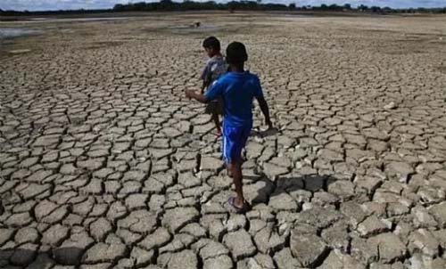 Seca se agrava em Alagoas e outros estados do Nordeste, segundo relatório da ANA