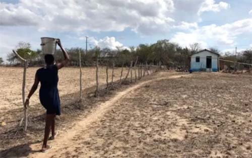 Seca severa deve atingir 30% dos municípios alagoanos, prevê Semarh Municípios