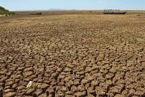 Relatório global sobre seca destaca impactos humanos e econômicos