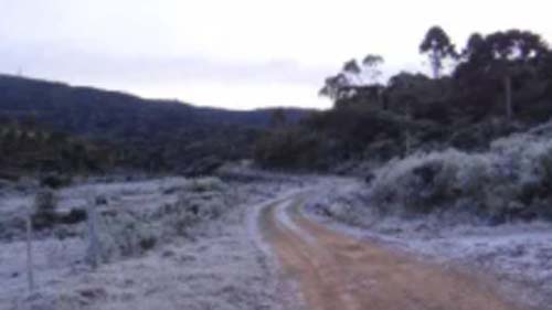 Seca e frio extremos prejudicam produção e pressionam preços dos alimentos