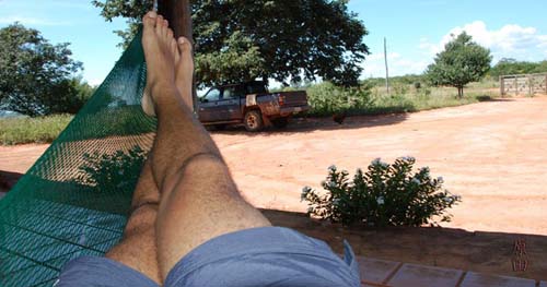 Estudo indica combinação de atividades para fugir do sedentarismo e da inatividade