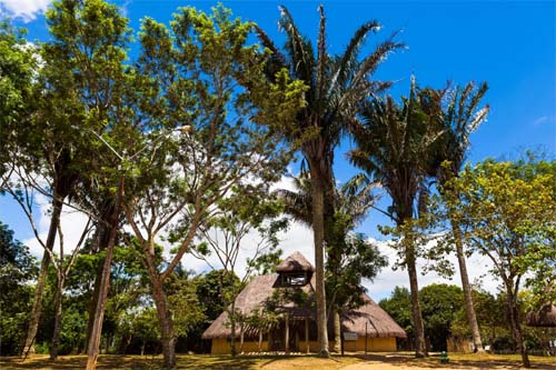 Dia Nacional da Consciência Negra: confira a programação na Serra da Barriga, em União dos Palmares