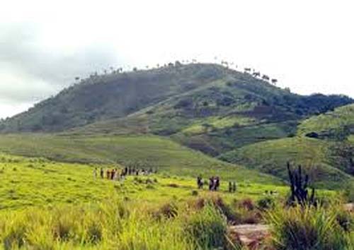Dez sobreviventes da tragédia na Serra da Barriga seguem internados em hospitais