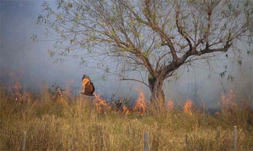 No sertão de Minas, há lugares em que é o fogo que apaga a água