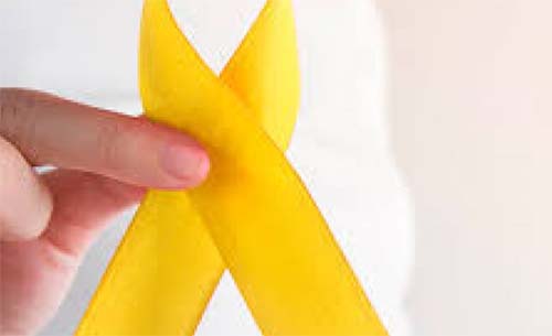 Dados sobre o suicídio em AL, prevenção e rede de apoio são debatidos durante seminário