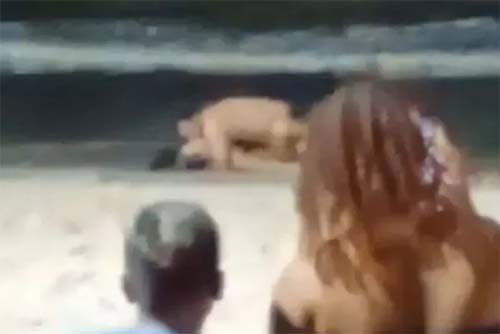 Policial flagrado fazendo sexo em Ponta Verde é banido do curso para delegados em Alagoas