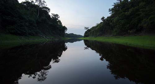 Sob escrutínio da inteligência brasileira, Igreja inicia preparação para Sínodo