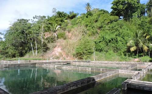 Casal vende Sistema Catolé-Cardoso à Braskem por R$ 108,9 milhões e levanta críticas