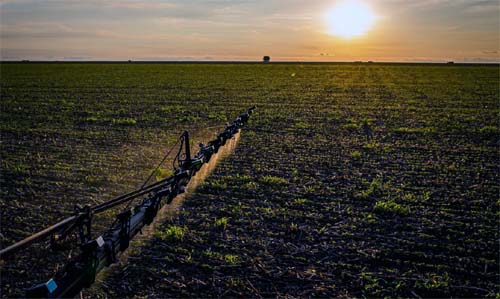 IBGE: 32% dos solos do país têm potencial natural para a agricultura