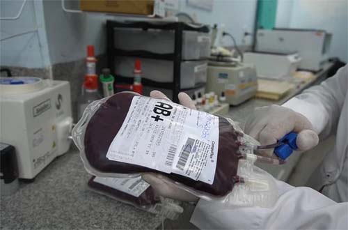 Santa Casa de Maceió adota sorologia para dengue em doações de sangue