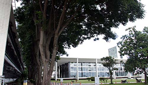 Mulher condenada por furto de fraldas cumprirá pena em regime aberto