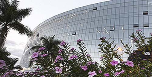 Ministro Zanin já tem mais de 500 processos sob sua relatoria