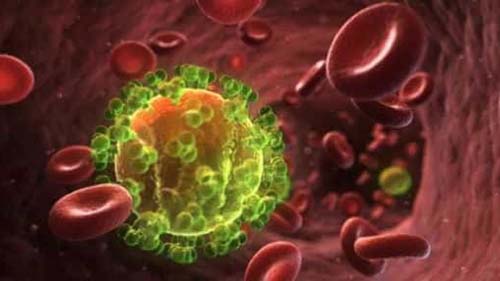 Pesquisadores descrevem novo subtipo do HIV