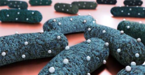 Sem apoio, pesquisa que pode resolver problema mundial das superbactérias trava no Brasil