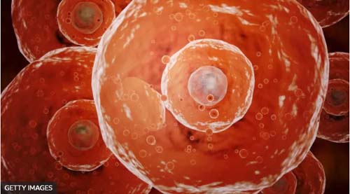 Covid: o que é a 'superimunidade' e como ela nos protege contra infecções