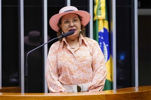 Procurador pede apuração de verba milionária dada a ONG ligada a Nelma
