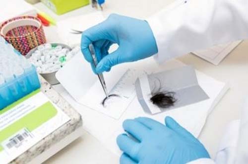 Motoristas terão até dezembro para fazer exame toxicológico