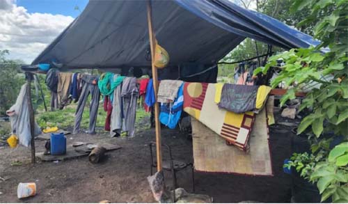 Operação resgata 25 trabalhadores em condições iguais regime identico a escravidão