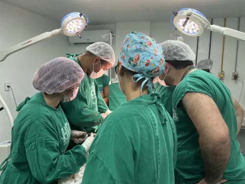 Transplante: primeira captação de órgãos no HGE salva a vida de 4 pessoas
